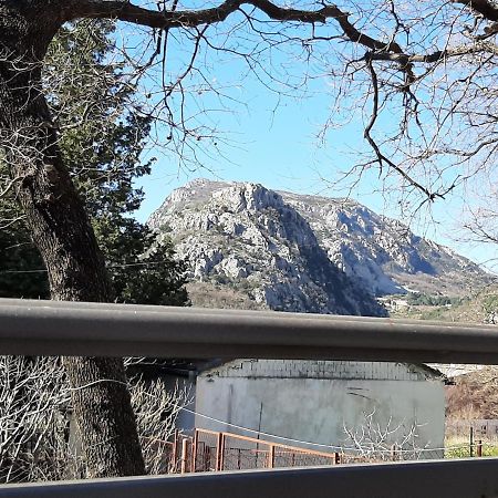 Forest House Sutomore Εξωτερικό φωτογραφία