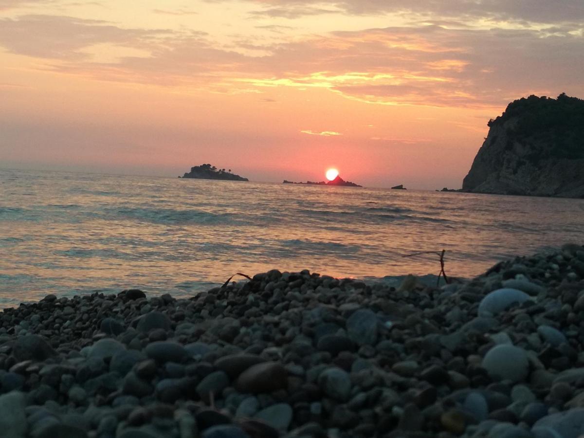 Forest House Sutomore Εξωτερικό φωτογραφία