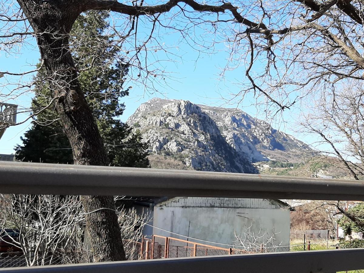 Forest House Sutomore Εξωτερικό φωτογραφία