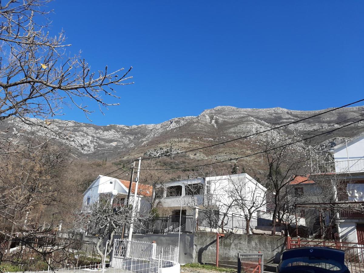 Forest House Sutomore Εξωτερικό φωτογραφία